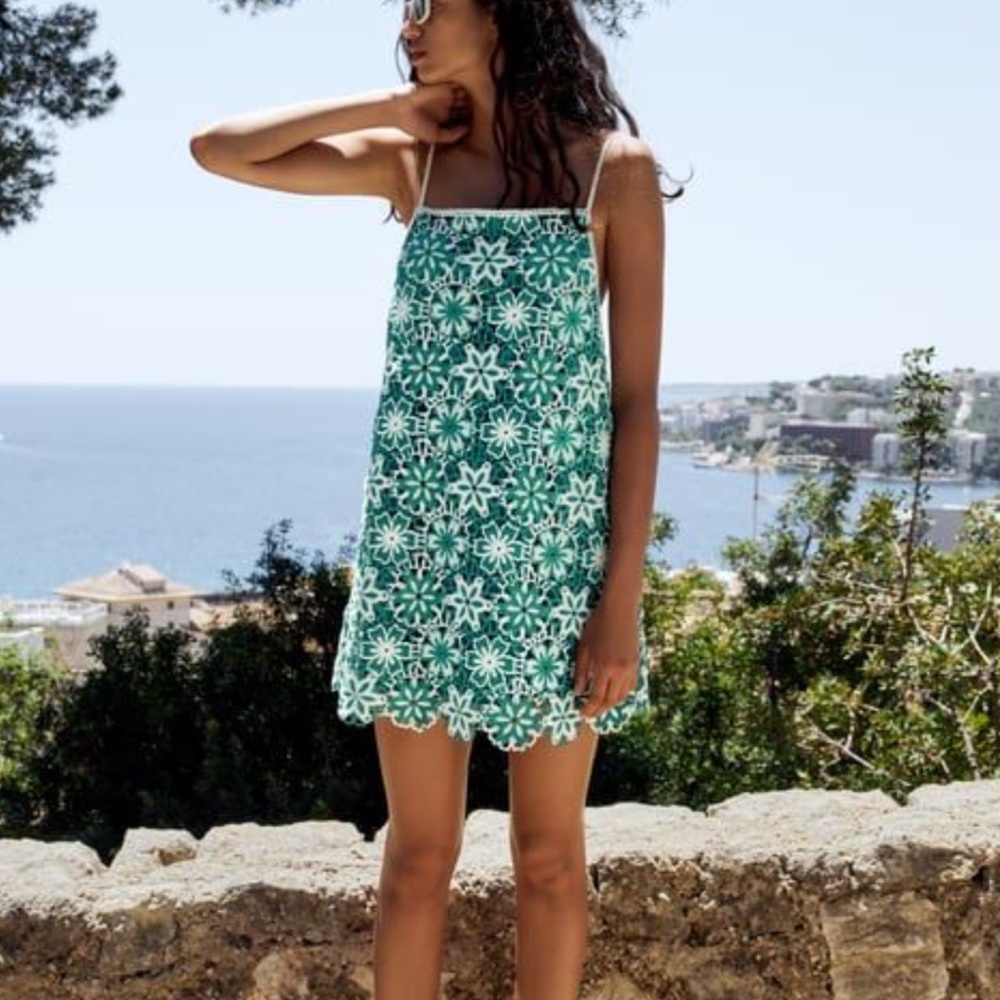 ISO Zara Crochet Floral Mini Dress